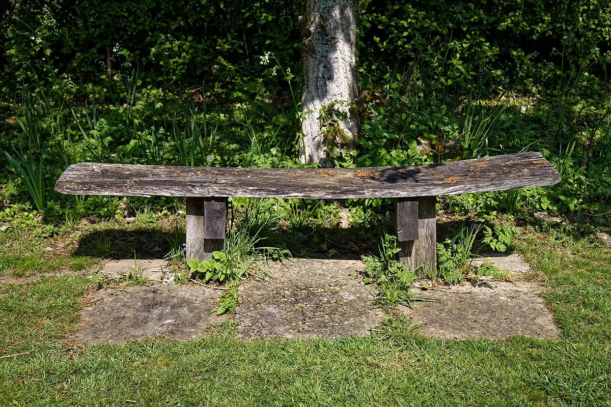 Banca de madera en un jardín sin personas